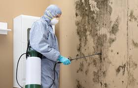 Best Mold Odor Removal Services  in Bonners Ferry, ID